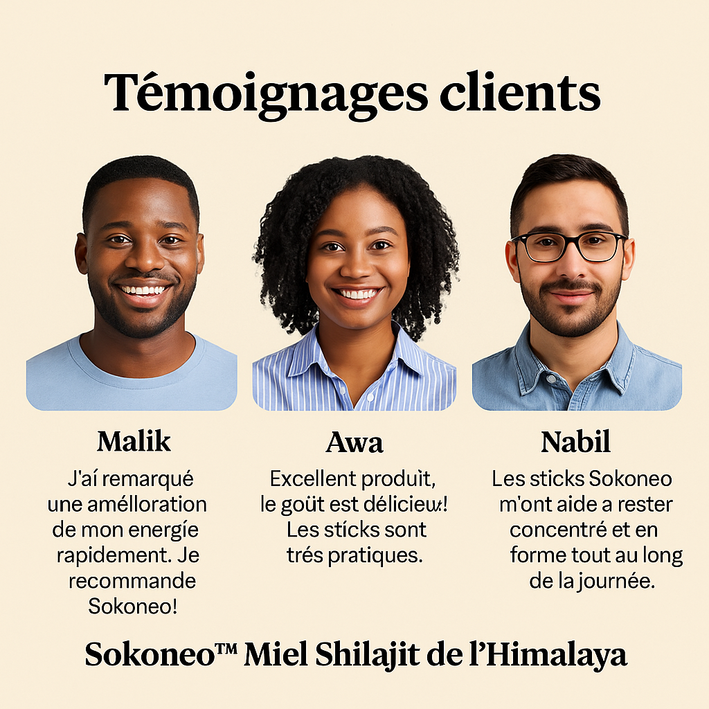Sokoneo™ Miel Shilajit de l’Himalaya – 30 sticks_ML