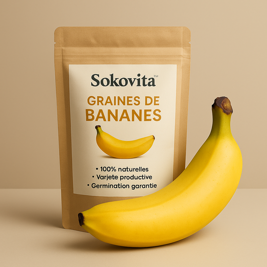 Sokovita™ Graines de Bananes_CF