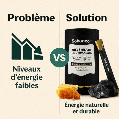 Sokoneo™ Miel Shilajit de l’Himalaya – 30 sticks_ML