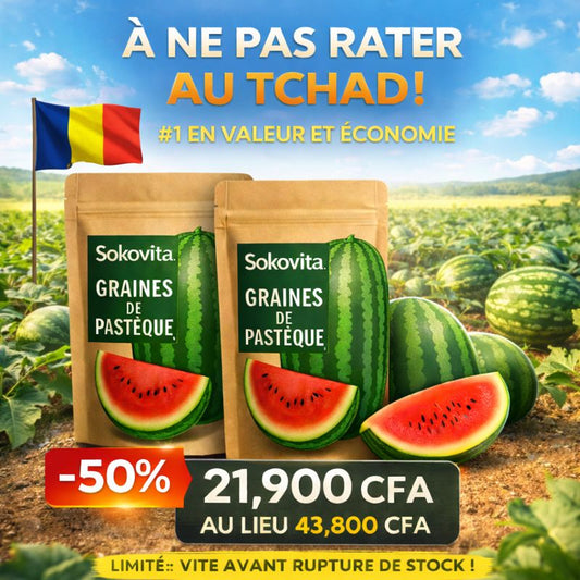 Sokovita™ Graines de Pastèque_CF